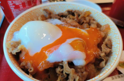 快餐网红碗,探索快餐界的潮流新宠