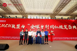 上海网红合作,合作共赢新篇章